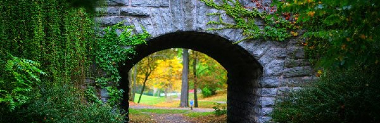 Buffalo Olmsted Parks Buffalo Olmsted Parks