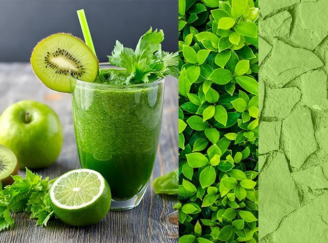 Résultat de recherche d'images pour "greenery"