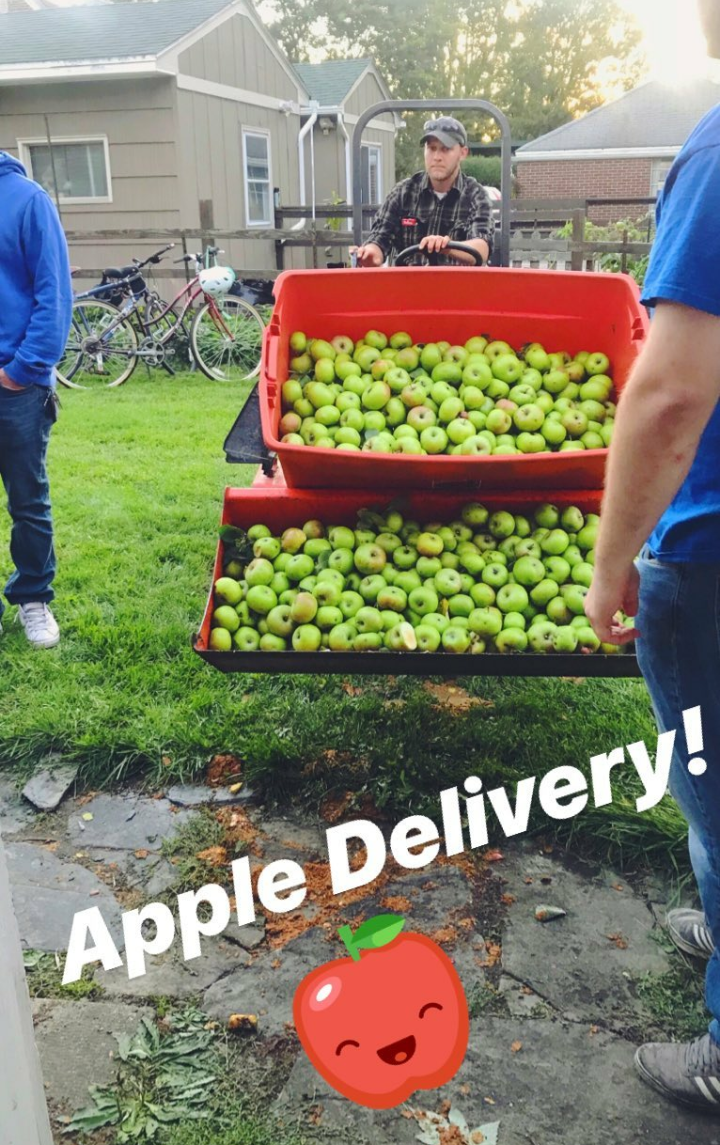 Sweet Donkey Cider Party on Instagram Stories