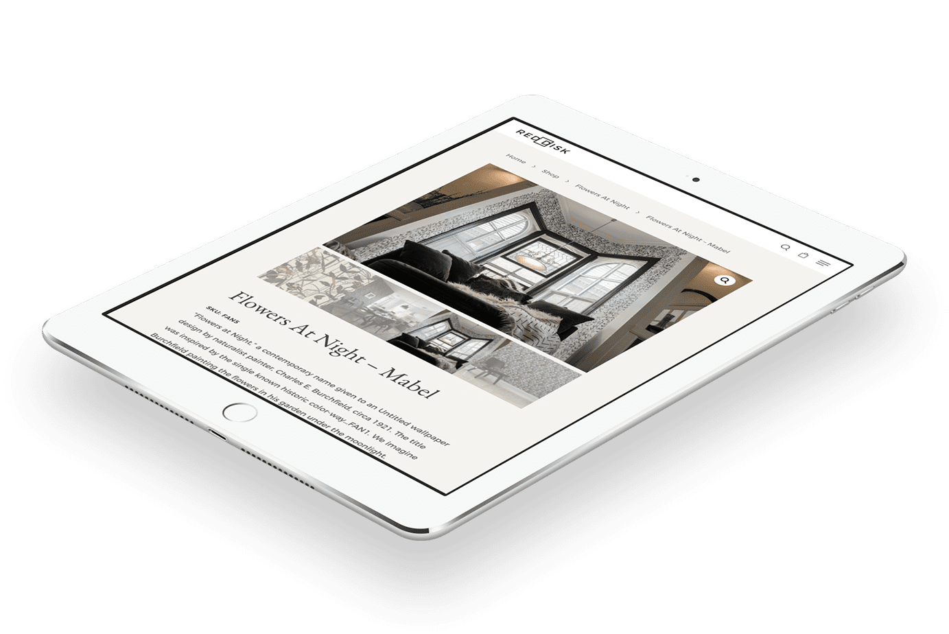 Ecommerce Web Design for Red Disk Studio