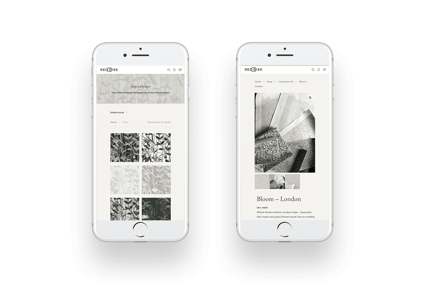 Ecommerce Web Design for Red Disk Studio